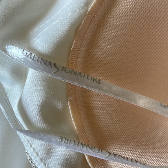 GALINA SIGNATURE From David’s Bridal Wedding Dress - Picture 10 of 16